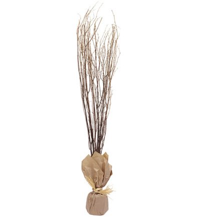 Large Twigs with Lights