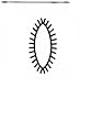 GROBET SWISS FILES DIESINKER RIFFLER #971 6 INCH CUT 2