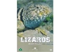 LIZARDS