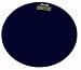 Kitchen & Housewares : Escali B180RMB Glass Platform Bathroom Scale, Midnight Blue