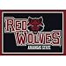 Arkansas State Red Wolves 7' 8" x 10' 9" Team Spirit Area Rug