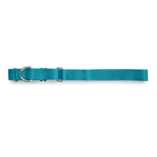 Guardian Gear Nylon Martingale Dog Collar, Fits Necks 18 Guardian Gear Nylon Martingale Dog Collar, Fits Necks 18
