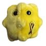 HEPATITIS GIANT MICROBE