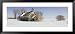 Abandoned Schoolhouse on a Snow-Covered Landscape, Friberg Township, Minnesota, USA Framed Art Poster Print by Panoramic Images, 51x23