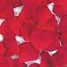Heart Shaped Red Rose Petals (200 Pc)