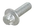 OES Genuine Screw