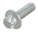 OES Genuine Screw