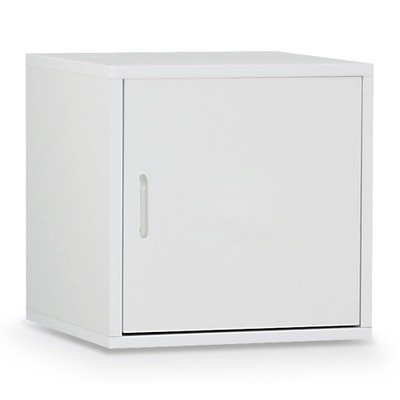 Organize It All Storage with Door