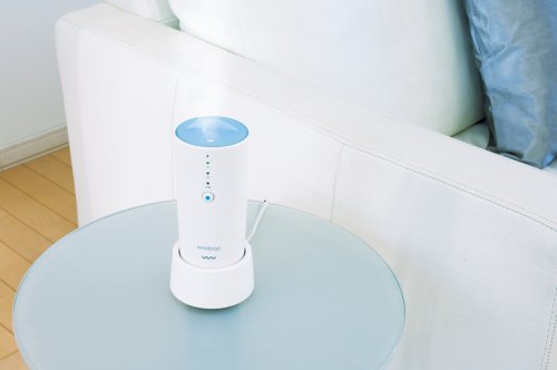 SANYO いつでも、どこでもきれいな空気を!  ポータブル 空間 清浄器 eneloop air fresher (マシュマロホワイト) CAF-VW10TG(W)