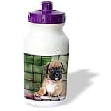 Dogs Boxer - Brindle Boxer Puppy - Water Bottles