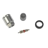 Dorman 609-103 Ford Lincoln Mercury Tire Pressure Monitor System Valve Core Kit -... by Dorman