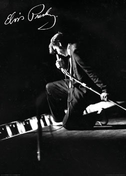 Elvis Presley (Kneeling, Huge) Music Poster Print - 40x55