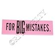 FOR BIG MISTAKES ERASER
