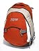 JanSport Trinity III Backpack (Barn Red)