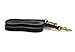 Leerburg Black Latigo Leather Prong Collar Leash – 6' x 3/4