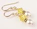 November Yellow Citrine Gold Filled Swarovski Crystal Beaded Birthstone Earrings