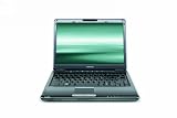 Toshiba Satellite U405-S2915 13.3-Inch Laptop (Intel Core 2 Duo P6400 Processor, 4 GB RAM, 320 GB Hard Drive, DVD SuperMulti Drive, Vista Premium)