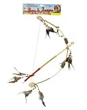 Indian Bow and Arrow
