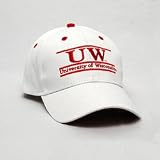 Wisconsin Badgers Hats - Bar