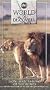 Lions:Africa's King of the Beasts  (ABC World of Discovery)  [VHS]