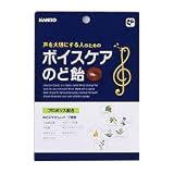 カンロ ボイスケアのど飴 90g