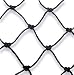 Tools & Hardware : BirdNet PE-plus