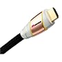Monster M1000 HD-8 Ultimate High-Speed HDTV HDMI Cable (8 feet)