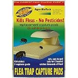 Flea Trap Capture Pads Package