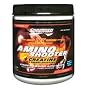 Amino Shooter w/ Energy-Champion Nutrition Pre-workout Essential Amino Acid formula, 12oz Fruit Punch