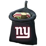 New York Giants Auto Pouch