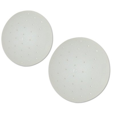 Turtle Shells