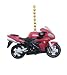 Sport Motorcycle Bike Cycle Racing Ceiling Fan Light Pull Chain