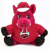 Arkansas Razorbacks 9 Plush Mascot