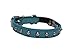 Studded Cat Collar, Genuine Leather Kitten Collar, Sturdy Breakaway Cat Collar, Water-Resistant Cat Collar with Bell & Elastic Stretch, Baby Blue, 12 x 1/2 inches - Angel Pet Supplies