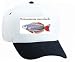 White Cap with fish, aquarium