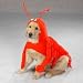 SMALL - LOBSTER PAWS - Dog Halloween Costume