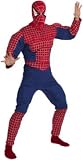 Teen Spider-man 2 DLX Costume