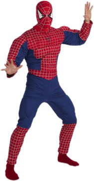  Teen Spider-man 2 DLX Costume