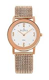 Skagen Steel Mesh Silver-Tone Dial Women's Watch #39LRR1