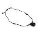 Tagua Nut Green Pendant 