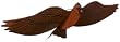 Jackite Assembled Cardinal Bird Kite, Wind Sock