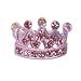 pomeranian28  - Purple Austrian Crystal Z Crown Hair Clip Barrette