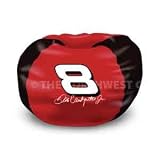 Dale Earnhardt Jr. Bean Bag Chair