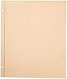 Pioneer 11-Inch-by-14-Inch, Postbound Refill Pages, 25 Per Package