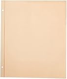 Pioneer 11-Inch-by-14-Inch, Postbound Refill Pages, 25 Per Package