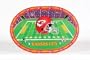 Set of 4 Kansas City Chiefs Placemats