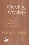 Meeting Mystery: Liturgy, Worship, Sacraments (Theology in Global Perspective)
