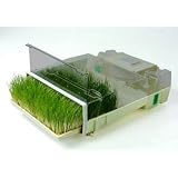 Buy EasyGreen EQMV sprouter