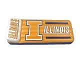 Illinois Fighting Illini Pool Float
