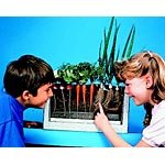 Root-Vue Farm